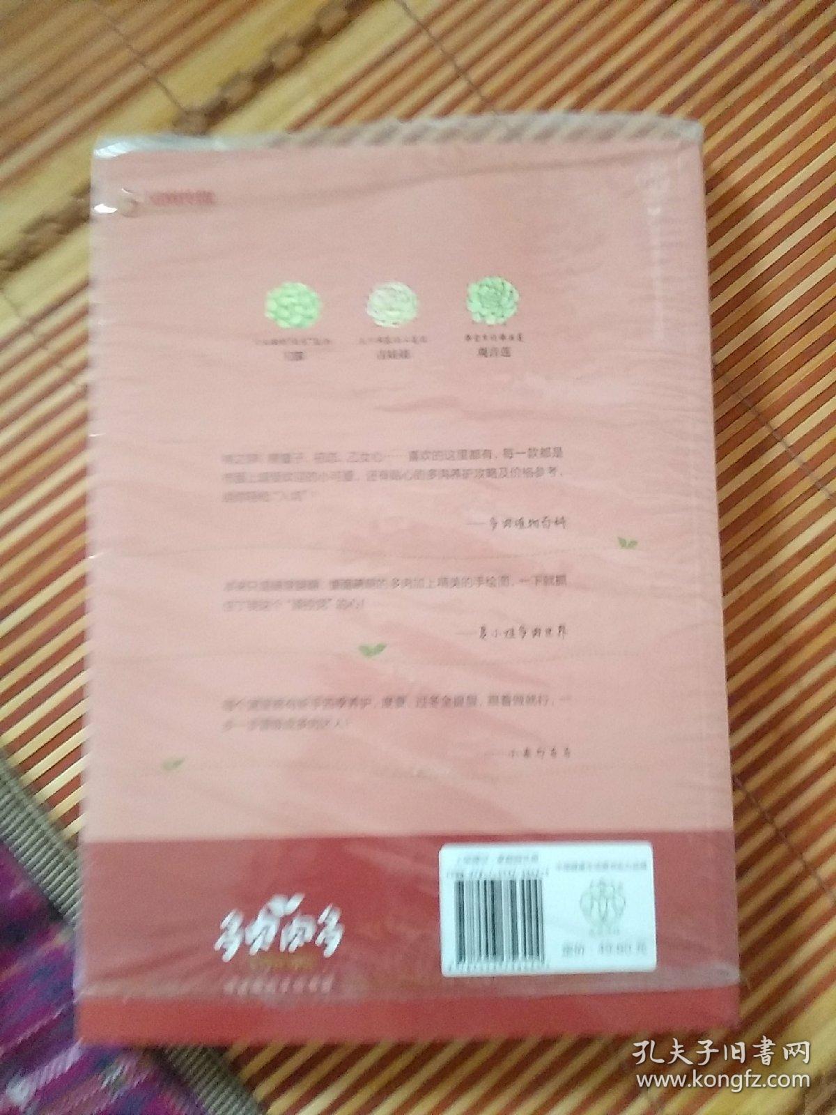 多肉肉多（手绘升级版）：手绘多肉时光！邂逅多肉的美妙世界