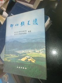 印山越王陵:1998全国十大考古新发现之一