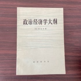 政治经济学大纲