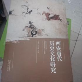 西安唐代历史文化研究