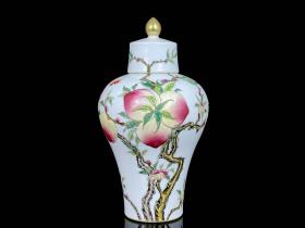 《精品放漏》乾隆珐琅彩梅瓶——清代瓷器收藏