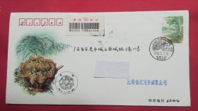 1996年《苏铁》邮票原地首日实寄封，邮政快件，封戳设计：曾孝濂，印量：5000枚。云南省红河州邮票公司发行。