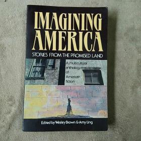 Imagining America: Stories from the Promised Land   想象中的美国: 来自应许之地的故事