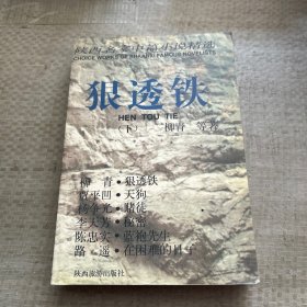 恨透铁 下册