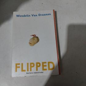 Flipped 轻弹