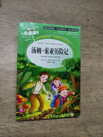 汤姆·索亚历险记 美绘插图版 教育部“语文课程标准”推荐阅读 名词美句 名师点评 中小学生必读书系