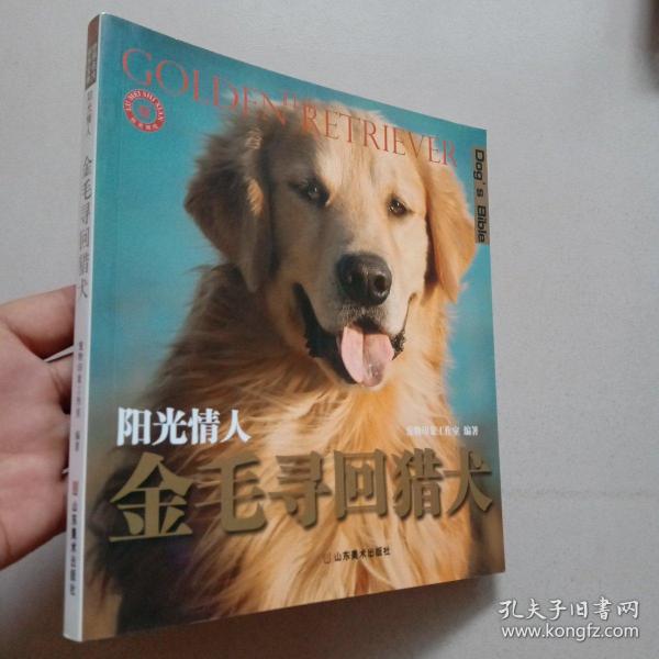 金毛寻回猎犬