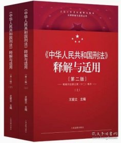2024《中华人民共和国刑法》释解与适用第二版