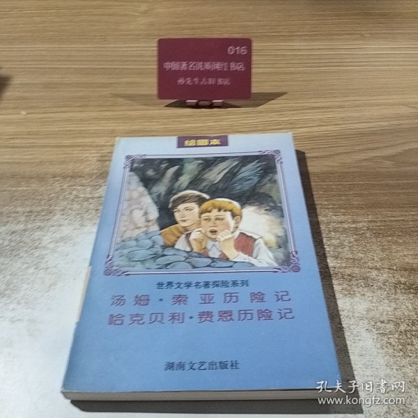 世界文学名著探险系列绘图本 汤姆·索亚历险记 鲁滨逊漂流记格列佛游记荒岛探宝记