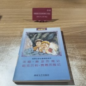 世界文学名著探险系列绘图本 汤姆·索亚历险记 鲁滨逊漂流记格列佛游记荒岛探宝记