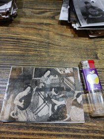 相片 41