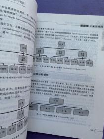 自尊的心理发展与教育