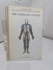 the lymphatic system