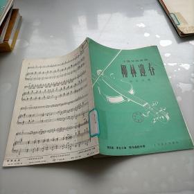 小提琴獨(dú)奏曲，椰林迎春，鋼琴伴奏