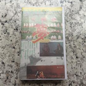 录像带 VHS 黑泽明 电影 《梦》