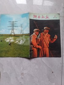 湖南画报1973，6第2期、