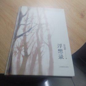 浮想录