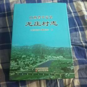 山西省平定县龙庄村志