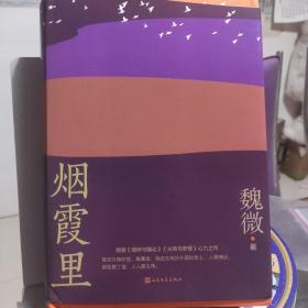 烟霞里（鲁迅文学奖魏微全新长篇小说，抒写一个时代下女主繁茂又寂静的匆匆一生）