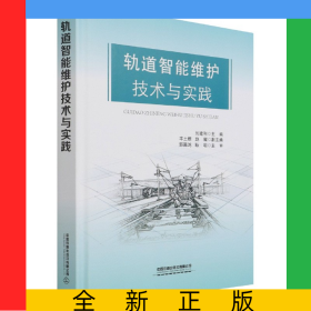 軌道智能維護(hù)技術(shù)與實(shí)踐(精)