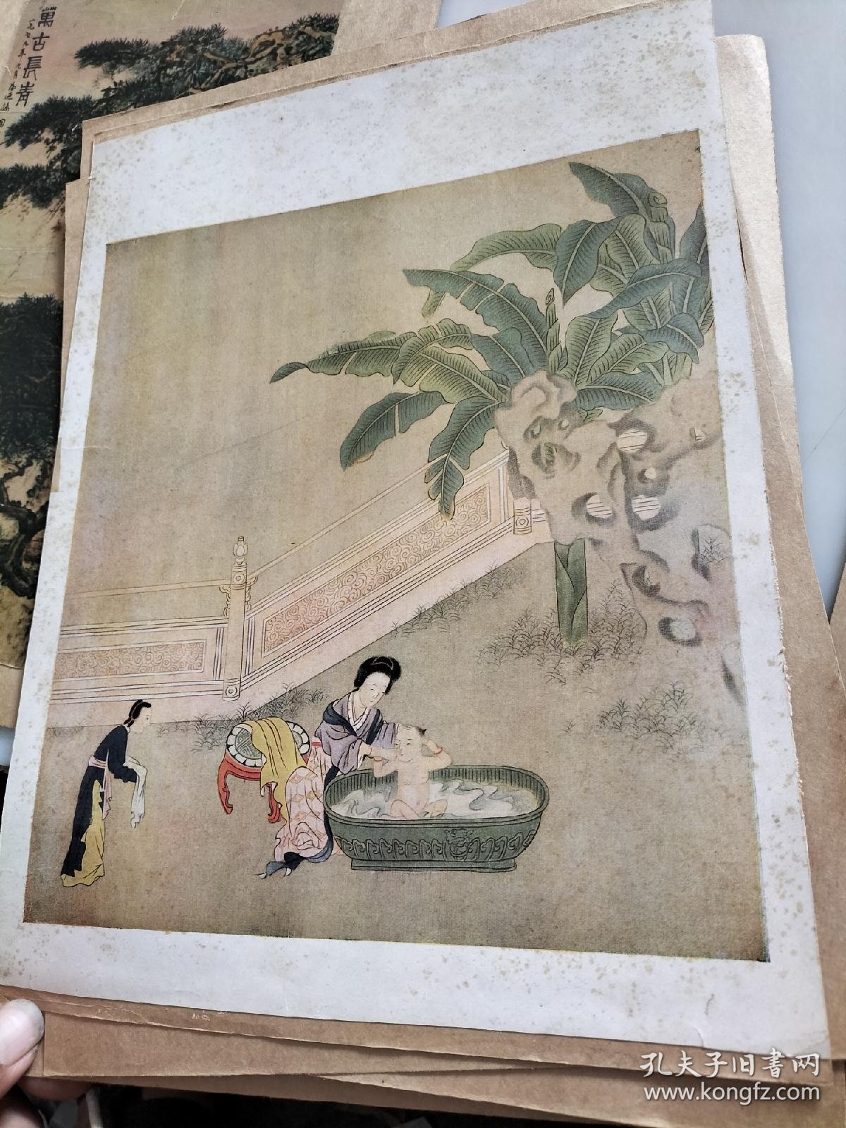 各画徐悲鸿作猫等11张合售