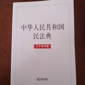 中华人民共和国民法典（大字条旨版）2020年6月