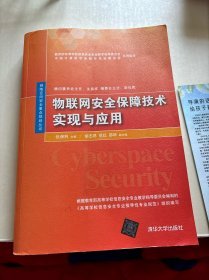 物联网安全保障技术实现与应用/网络空间安全重点规划丛书