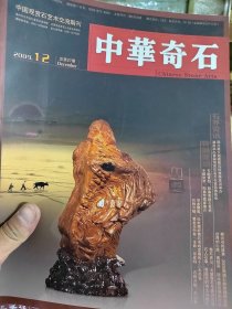 中华奇石2009 12