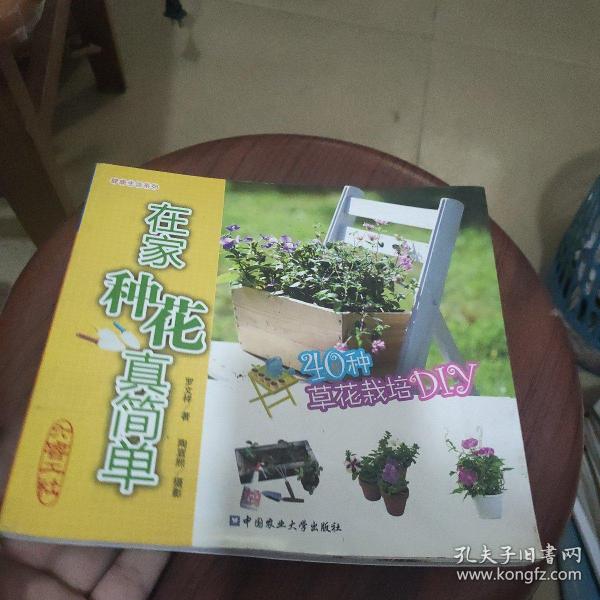 在家种花真简单