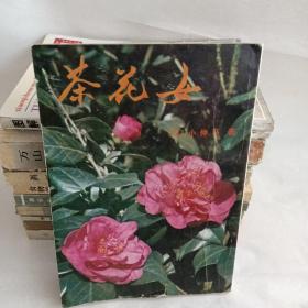 茶花女