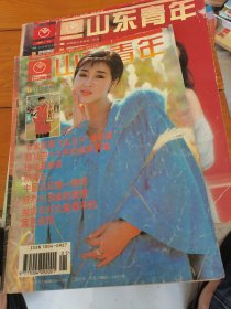 山东青年1997年第1期