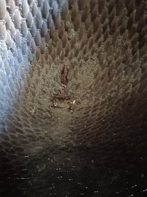 手工藤编老勾斗 米斗 身子一处残洞老补图六图九。高37，外直径24内口径18