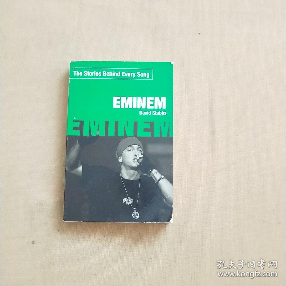 The Stories Behind Every Song EMINEM