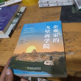 企业家的戈壁商学院：戈壁挑战赛的领导力、组织力、战略力和公益力