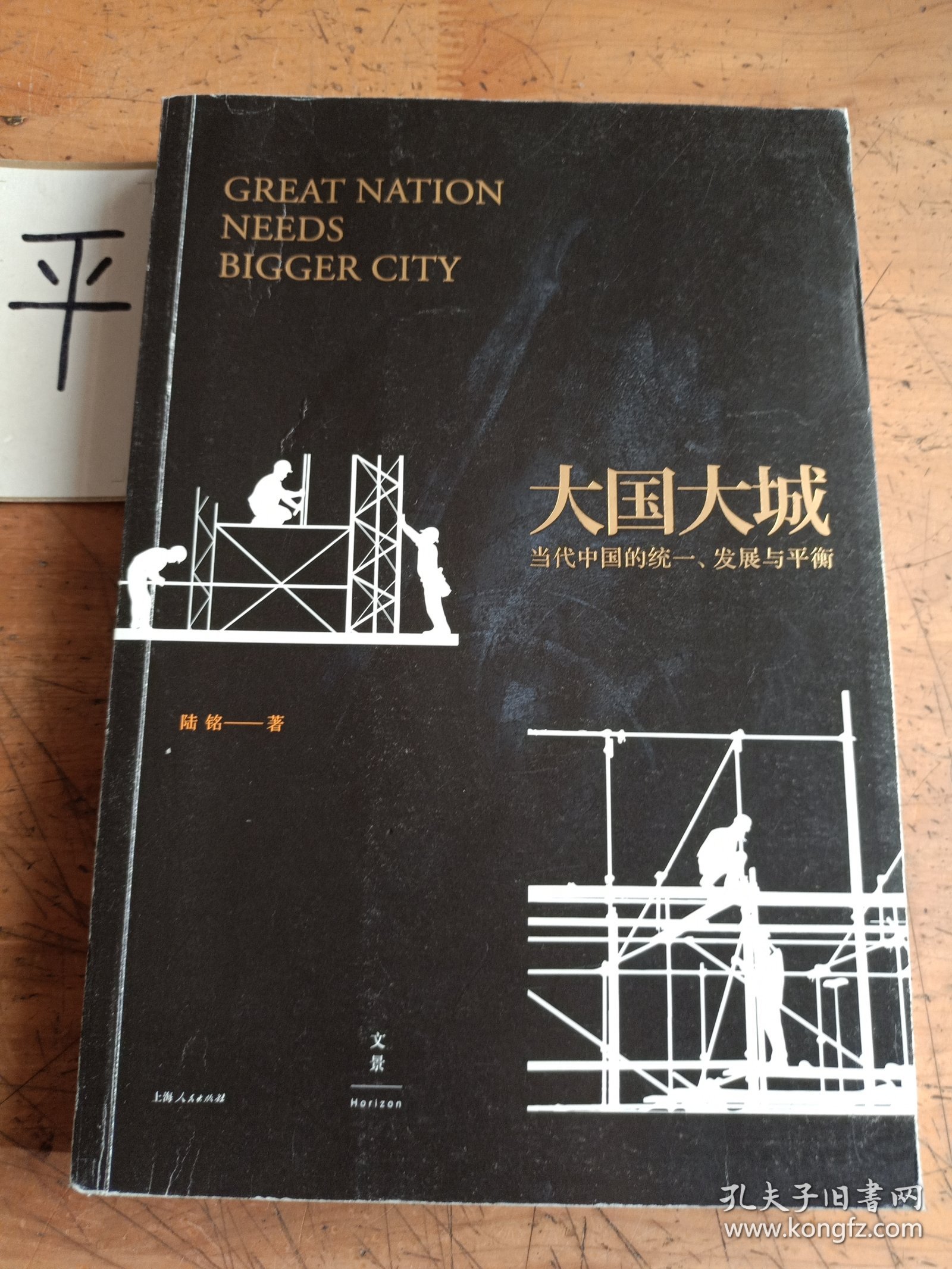 大国大城：当代中国的统一、发展与平衡