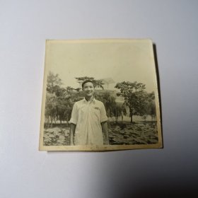 老照片–70年代白衣青年在景区荷塘边留影（1979年9月，背面有文字注释）
