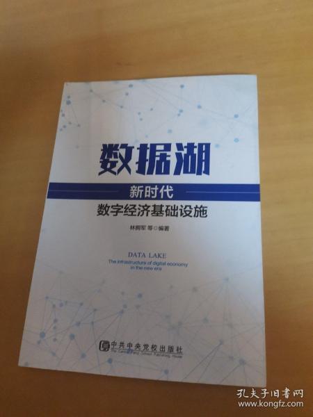 数据湖：新时代数字经济基础设施