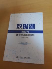 数据湖：新时代数字经济基础设施