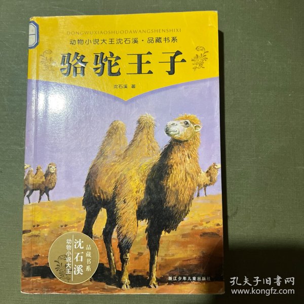 骆驼王子