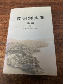 薛明剑文集:续编上