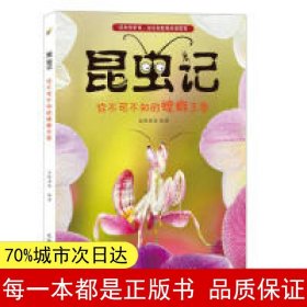 昆虫记 你不可不知的螳螂王国 