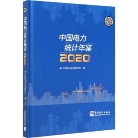 【正版书籍】中国电力统计年鉴-2020