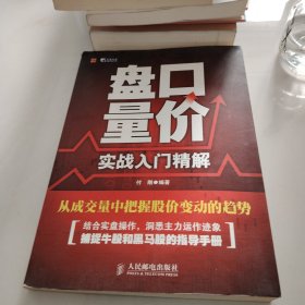 盘口量价实战入门精解