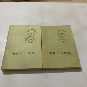 契诃夫小说选 （上下册）