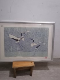 双栖