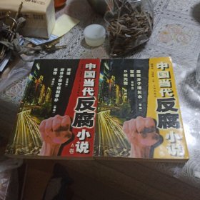 中国当代反腐小说A.B卷（两本合售）