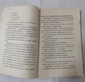 海岛女民兵