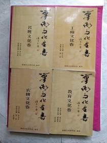 巢湖文化全書(教育、名胜、农耕、工商)文化卷四本合售