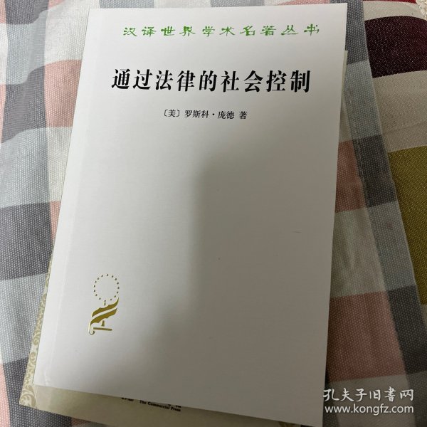 通过法律的社会控制