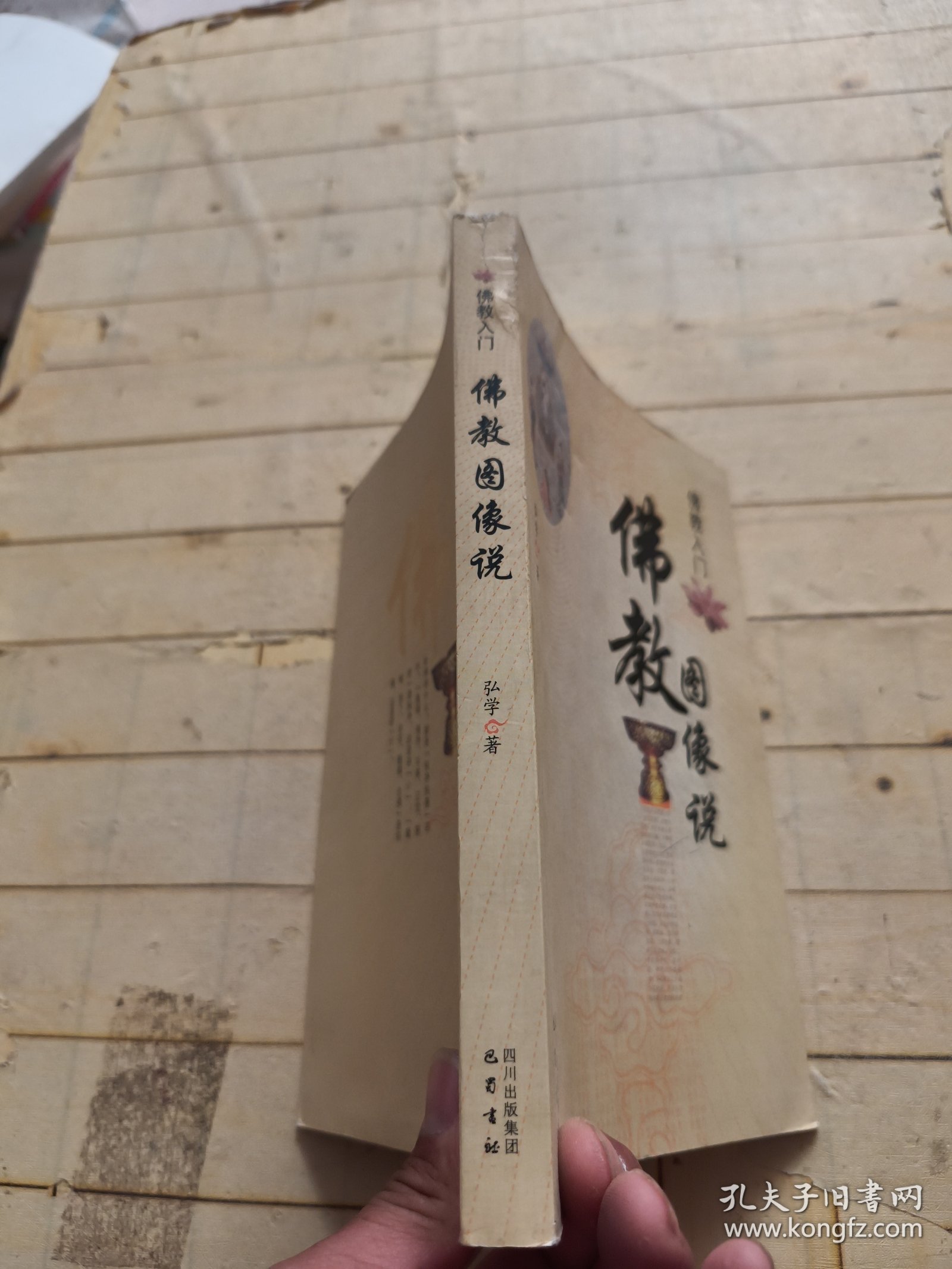 佛教入门：佛教图像说